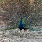 Chateau De Marnand - Duplex A La Ferme Apartment